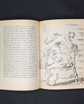 Oeuvres complètes du Comte de Lautréamont contenant Les Chants de Maldoror -les Poésies - les Lettres -une introduction par André Breton. LAUTREAMONT ...