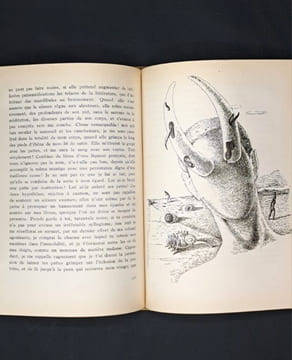 Oeuvres complètes du Comte de Lautréamont contenant Les Chants de Maldoror -les Poésies - les Lettres -une introduction par André Breton. LAUTREAMONT ...