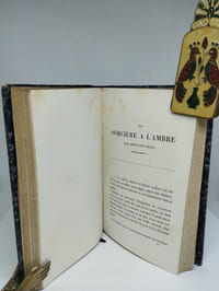 Elsie Venner ; La Sorcière à l’ambre. Imitations de l’anglais