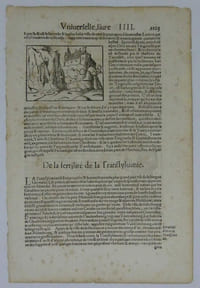 La cosmographie vniverselle, contenant la situation de toutes les parties du monde, auec leurs proprietez & appartenances […]. Un feuillet de 313×209 mm, paginé 1103-1104, extrait du livre IIII d’un exemplaire d’une édition du seizième siècle de la première traduction française de la Cosmographia Universalis