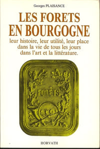 Les forets en Bourgogne, leur histoire, leur utilité, leur place dans la vie de tous les jours dans l’art et la littérature.