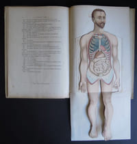 Le corps de l'homme - cinq planches coloriées à feulllets découpés et superposés - s. d. [1903] 
