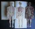 Le corps de l'homme - cinq planches coloriées à feulllets découpés et superposés - s. d. [1903] . PERRIER, Edmond 