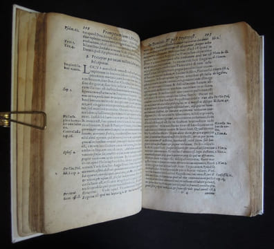 Promptvarivm morale Super evangelia dominicalia totivs anni Pars Aestivalis Roman I - 1593 . STAPLETONO, Thoma