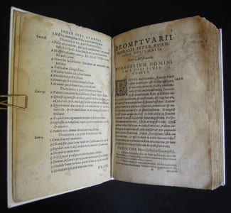 Promptvarivm morale Super evangelia dominicalia totivs anni Pars Aestivalis Roman I - 1593 