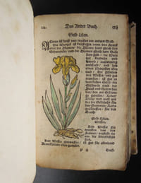 Kurtzes Handtbüchlein, und Experiment, vieler Artzneyen, durch den gantzen Cörper deß Menschens, von dem Haupt biß auff die Füß - [1677] 