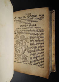 Kurtzes Handtbüchlein, und Experiment, vieler Artzneyen, durch den gantzen Cörper deß Menschens, von dem Haupt biß auff die Füß - [1677] 