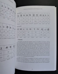 L'écriture chinoise - 2010