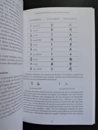 L'écriture chinoise - 2010