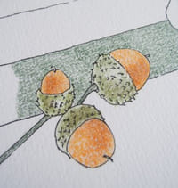 Pérégrinations d'une sauterelle au jardin - Papier Dessin - 2022