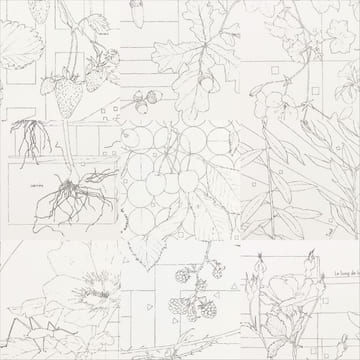 Pérégrinations d'une sauterelle au jardin - Papier Dessin aquarellable - 2022. SOLEILLANT, Lison