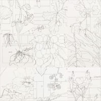 Pérégrinations d'une sauterelle au jardin - Papier Dessin aquarellable - 2022