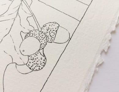 Pérégrinations d'une sauterelle au jardin - Papier Aquarelle - 2022