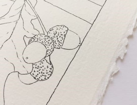 Pérégrinations d'une sauterelle au jardin - Papier Aquarelle - 2022. SOLEILLANT, Lison