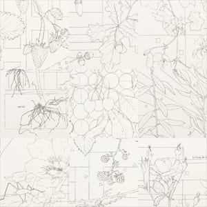 Pérégrinations d'une sauterelle au jardin - Papier Aquarelle - 2022