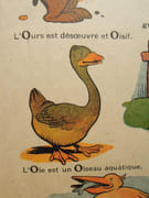 AEIOU a. e. i. o. u., Le premier livre de l'enfance - [1945] par RABIER, Benjamin - Image 6
