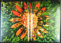 JARDIN DES MODES, n° 151, août-septembre 91 - 1991