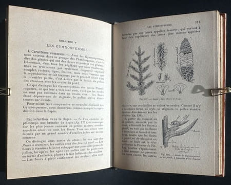 Botanique - Histoire naturelle pour les classes élémentaires - 1896. GUIBERT, J.