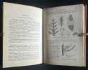 Botanique - Histoire naturelle pour les classes élémentaires - 1896. GUIBERT, J. 