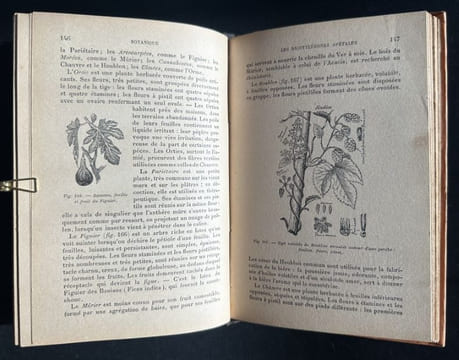 Botanique - Histoire naturelle pour les classes élémentaires - 1896. GUIBERT, J.