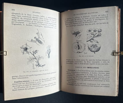 Botanique - Histoire naturelle pour les classes élémentaires - 1896. GUIBERT, J.