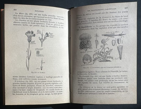 Botanique - Histoire naturelle pour les classes élémentaires - 1896. GUIBERT, J.