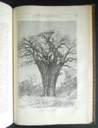 Merveilles de la nature, La Terre, Les mers et les continents, géographie physique, géologie et minéralogie - 1892 par BREHM, Alfred-Edmund, PRIEM Fernand