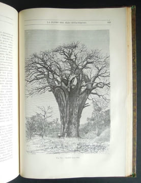 Merveilles de la nature, La Terre, Les mers et les continents, géographie physique, géologie et minéralogie - 1892. BREHM, Alfred-Edmund, PRIEM ...