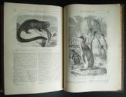 Image de livre