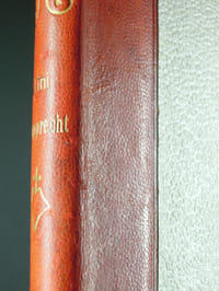 Tini Rupprecht - Artiste-peintre de Munich - Essai de psychologie esthétique par le Comte de Latemar - 1901