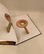 Image de livre