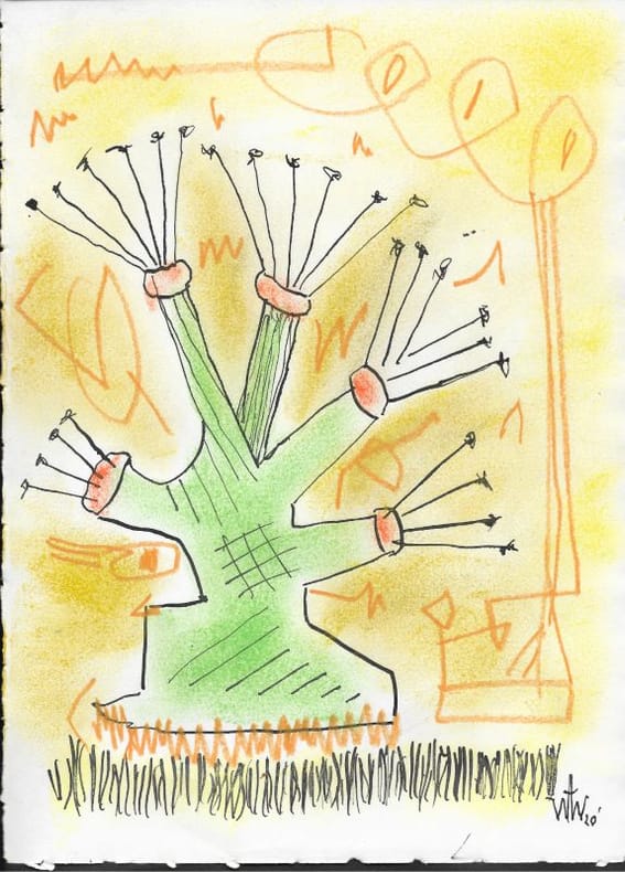 Série ZOZO - Algue. WILSON (William)