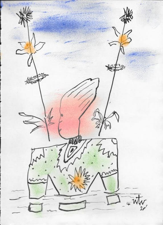 ZOZO - Poésie. WILSON (William)