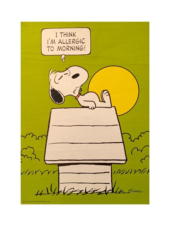 "I think i'm allergic to morning !". [70's] SCHULZ
