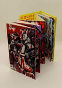 Bovary's Boys par VAN DER LINDEN (Anne) & KEROUAS (Armelle)