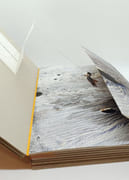 LE CORPS DE LIDENTITÉ ABSOLUE par HOUELLEBECQ (Michel) & MORAWETZ (Gabriela) - Image 3