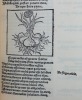 Macer Floridus de Viribus herbarum famosissimus medicus et medicorum speculum / Les impressions de Macer Floridus parues à Genève sur les presses de ...