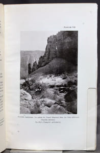 Au Hoggar. Mission de 1922.
