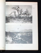 Ars Americana. I: L'archéologie du bassin de l'Amazone. II: L'ancienne civilisation des Barréales du nord-ouest argentin. par NORDENSKIOLD Erland; DEBENEDETTI Salvador: - Image 2