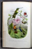 Lettres à Julie sur l'ornithologie.. MULSANT [Etienne]: