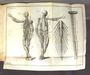 L'Anatomie d'Heister avec des Essais de physique sur l'usage des parties du corps humain, et sur le méchanisme de leurs mouvemens, enrichie de nouvelles figures en taille-douce. Nouvelle édition, revüe, corrigée & augmentée considérablement. Tome troisième. par HEISTER [Lorenz]: - Image 4