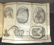 L'Anatomie d'Heister avec des Essais de physique sur l'usage des parties du corps humain, et sur le méchanisme de leurs mouvemens, enrichie de nouvelles figures en taille-douce. Nouvelle édition, revüe, corrigée & augmentée considérablement. Tome troisième. par HEISTER [Lorenz]: - Image 5