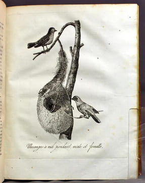 Voyage en Pologne, Russie, Suède, Dannemarc, &c. Traduit de l'anglais, enrichi de notes & des éclaircissemens nécessaires, & augmenté d'un Voyage en ...