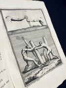 Trattato della Pittura di Lionardo Da Vinci nuovamente dato in luce con la vita dell'istesso autore scritta da Rafaelle Du Fresne. Si sono aggiunti i tre Libri della Pittura, ed il Trattato della Statua di Leon Battista Alberti con la Vita del medesimo. par VINCI Leonardo; ALBERTI Leon Battista: - Image 8