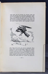 Dernières chasses en zigzag d'avant l'an quarante. Vécues et racontées, non sans un brin de nostalgie bien compréhensible, par Jean Lurkin, tandis que Jeph Lambert en brossait les décors et en tirait les plans.