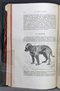 Nouveau traité des chasses à courre et à tir. Chasse à tir.