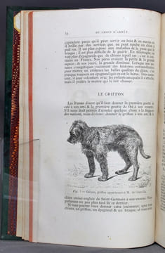 Nouveau traité des chasses à courre et à tir. Chasse à tir.. LAGE DE CHAILLOU Baron de; LA RUE A. de; CHERVILLE Marquis de: