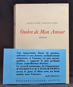 Ombre de mon Amour.