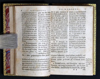 Le Galatée, premièrement composé en Italien par I. de la Case, & depuis mis en François, Latin, Allemand, & Espagnol.