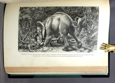 Elephant-hunting in East Equatorial Africa being an account of three years' ivory-hunting under Mount Kenia and among the Ndorobo savages of the Lorogi Mountains, including a trip to the north of Lake Rudolph.
